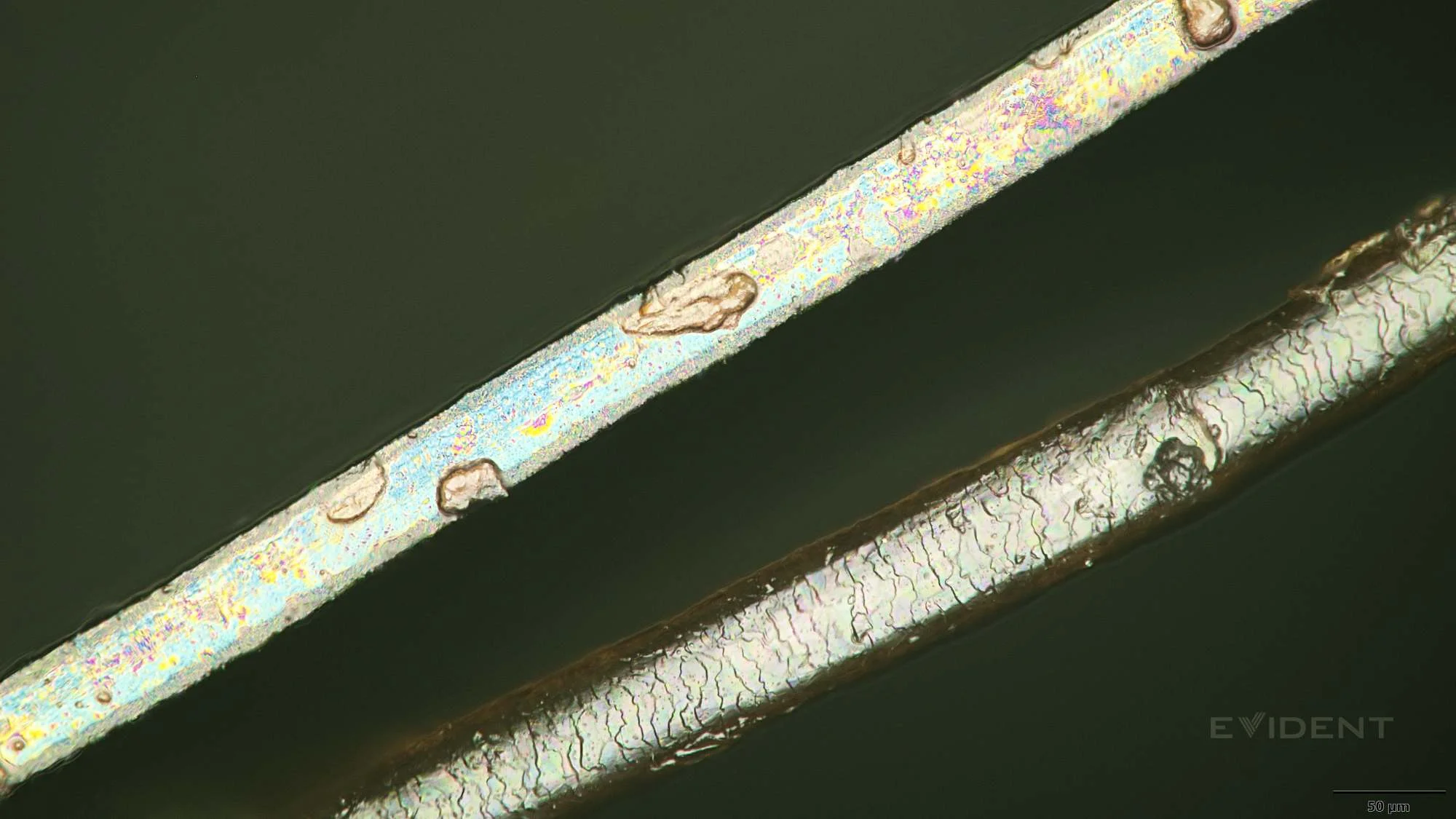 hoja de apertura de la cámara junto al cabello humano (izquierda) y junto al tornillo de 2 mm (derecha)
