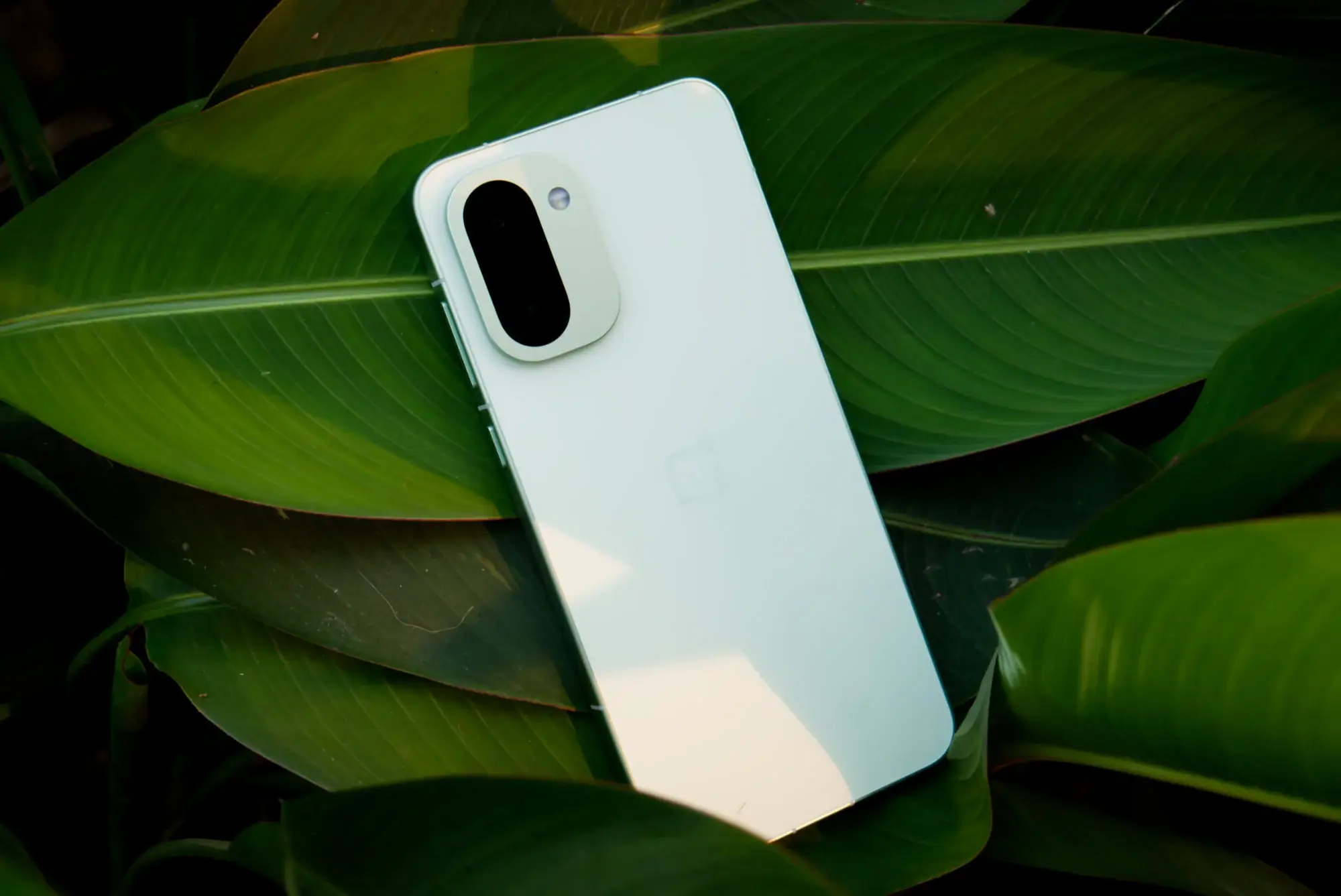 مراجعة عملية لهاتف OnePlus 15R